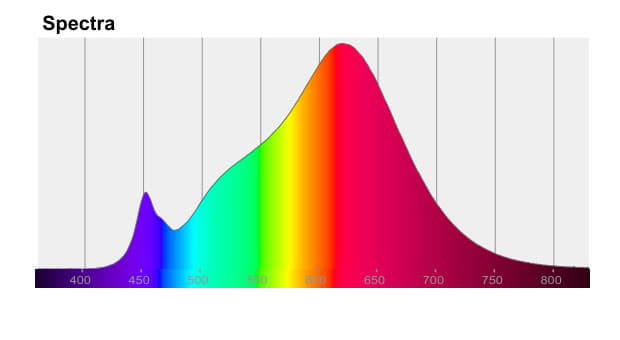 Espectro