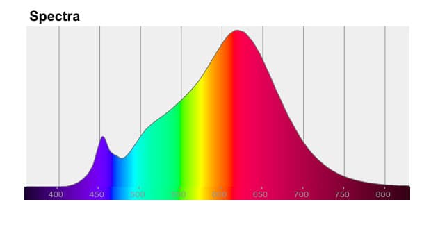 Espectro