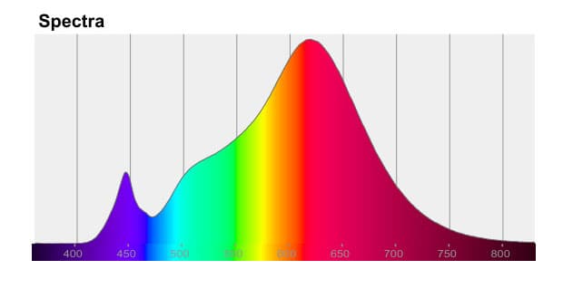 Espectro