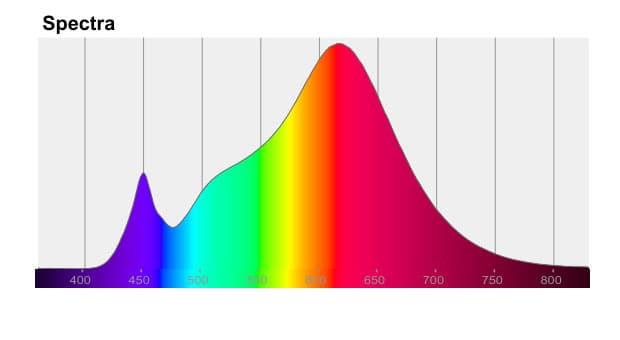 Espectro